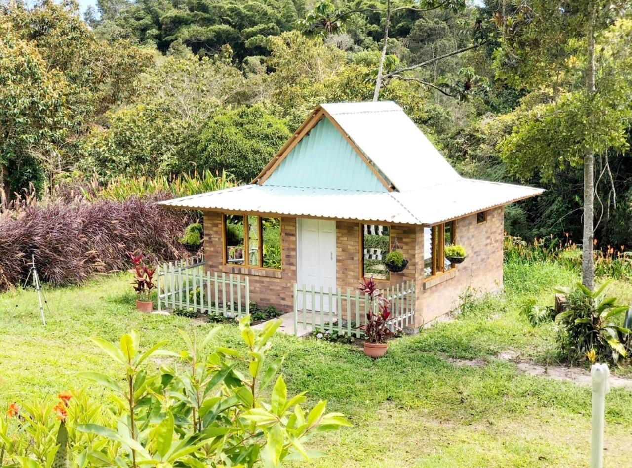 Tribu Ecohostal Los Santos (Santander) Exterior foto